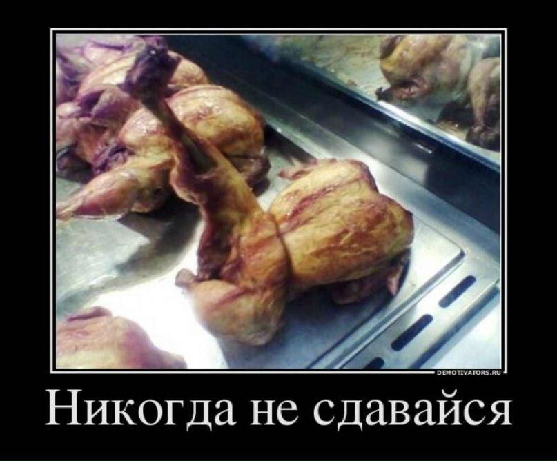 Софико Вашакмадзе фотография #32