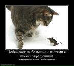 Антон Єлісєєв фотография #10 (источник - https://vk.com/id9731448)