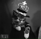Фотография Ххха Сашко