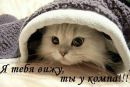 Діана Білик фотография #20 (источник - https://vk.com/id150742879)