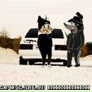 Ростік Науменко фотография #4 (источник - https://vk.com/id206339016)