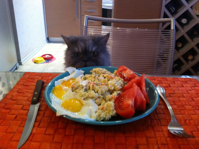 Alex Durow фотография #10