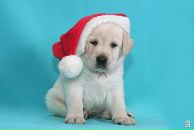 Фотография Зайцевой Юлии