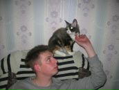 Фотография Осипова Максима