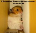 Фотография Терещенко Ильи