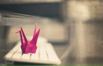 Фотография Сардаева Александра