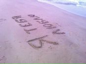 Фотография Муравьева Алексея