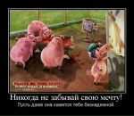 Андрій Дзядович фотография #41 (источник - https://vk.com/id24774404)