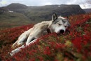 Фотография Мартынова Валерия