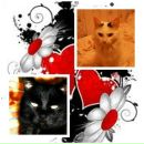 Ліза Лізуня фотография #45 (источник - https://vk.com/id143906958)