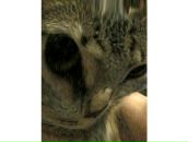 Rem Rem фотография #43 (источник - https://vk.com/id13533692)