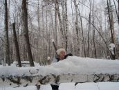 Фотография Горшковой Нюточки