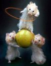 Юлічка Лев фотография #4 (источник - https://vk.com/id63986496)