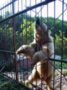 Дмитрий Волков фотография #35 (источник - https://vk.com/id2881624)
