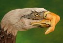 Ігор Козак фотография #32 (источник - https://vk.com/id13517034)
