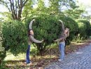 Ніна Болдецька фотография #29 (источник - https://vk.com/id5889929)