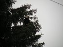 Юлія Беженар фотография #19 (источник - https://vk.com/id14476515)