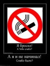 No Problem фотография #7 (источник - https://vk.com/id1124219)