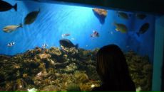 Фотография Вихаревой Дианы