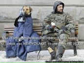 Liya Rf фотография #27 (источник - https://vk.com/id7710859)