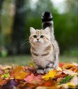 Наташа Новіцька фотография #18 (источник - https://vk.com/id163973140)