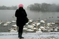 Дарья Левицкая фотография #28 (источник - https://vk.com/id101005)