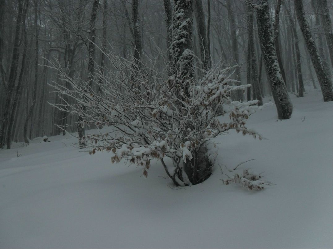 Дмитрий Журба фотография #34