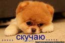Бодя Горішний фотография #19 (источник - https://vk.com/id243741058)