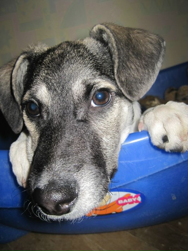 Анна Бородина фотография #21