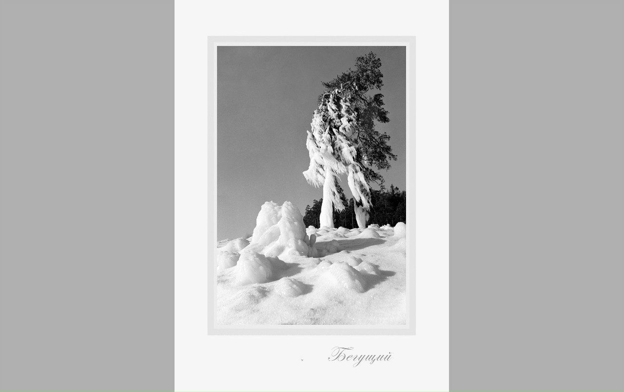 Валерий Плотников фотография #39