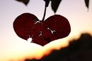 Фотография Понкратенковой Александры