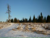 Степан Шадрин фотография #31 (источник - https://vk.com/id8910732)