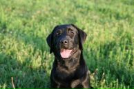 Фотография Ивановой Оли