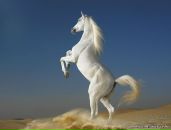 Фотография Климова Алексея