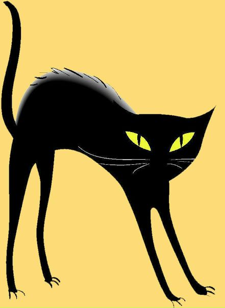 Black Cat фото №1