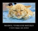 Фотография Цветкова Юлиана
