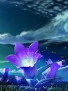 Фотография Кириленко Алены