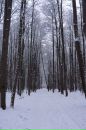 Фотография Якушиной Алены