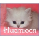 Діана Змаженко фотография #7 (источник - https://vk.com/id155010434)