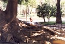 Софія Немеш фотография #35 (источник - https://vk.com/id161082256)