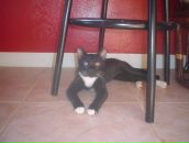 Igor Tarasov фотография #47 (источник - https://vk.com/id2694271)