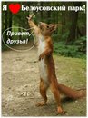 Фотография Парки Тульские