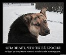 Марія Коваленко фотография #43 (источник - https://vk.com/id168803098)