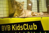 Фотография Бондаренко Маргариты