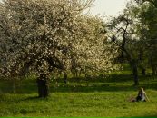 Фотография Васюковой Анны