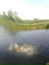 Іван Нечипор фотография #24 (источник - https://vk.com/id85596630)