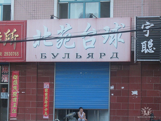 Стёпа Тимофеев фотография #41