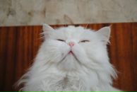 Фотография Тюриной Дарьи