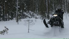 Фотография Мурашова Артема