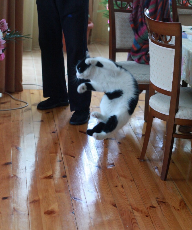 Александр Елетин фотография #18